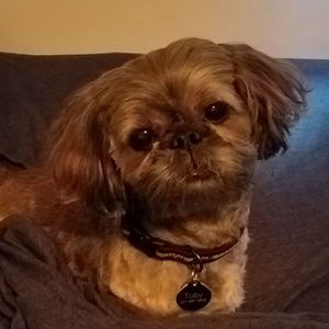 Meet your Posher, Lori